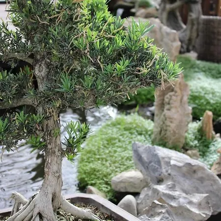 Zen - Museu Do Bonsai Appartement
