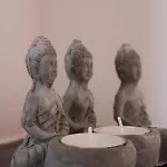 Zen - Museu Do Bonsai Apartmán *