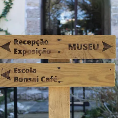 Zen - Museu Do Bonsai 아파트 신트라