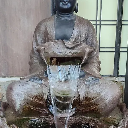 Zen - Museu Do Bonsai 신트라