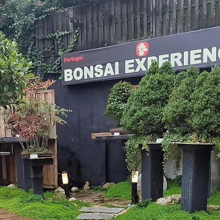 아파트 Zen - Museu Do Bonsai *