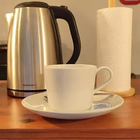 Zen - Museu Do Bonsai