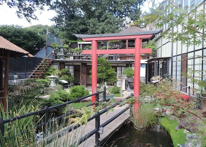 Zen - Museu Do Bonsai